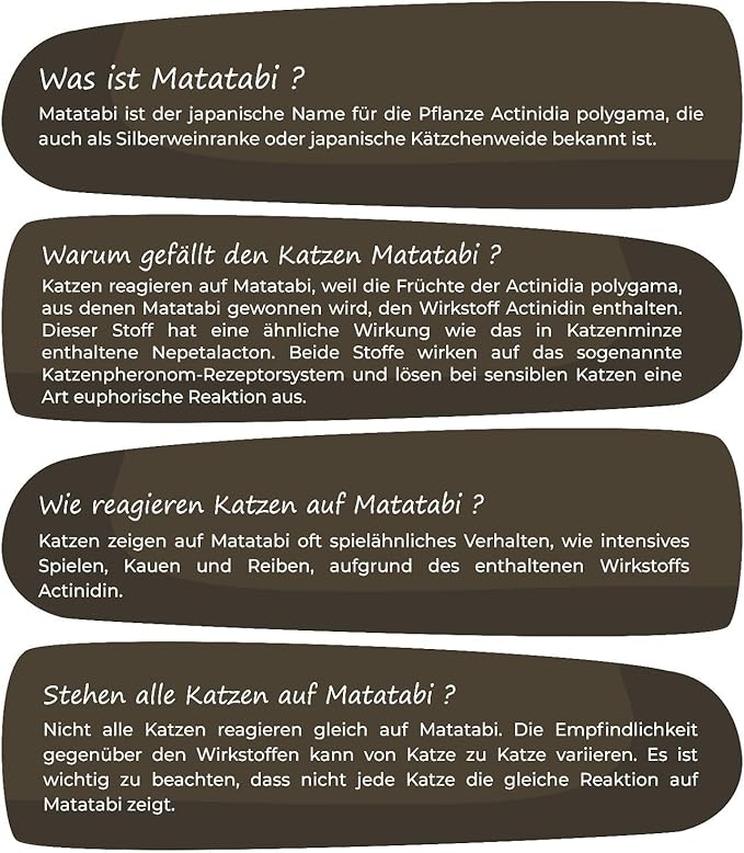 Matatabi Früchte - Gallfrucht - 8er Set