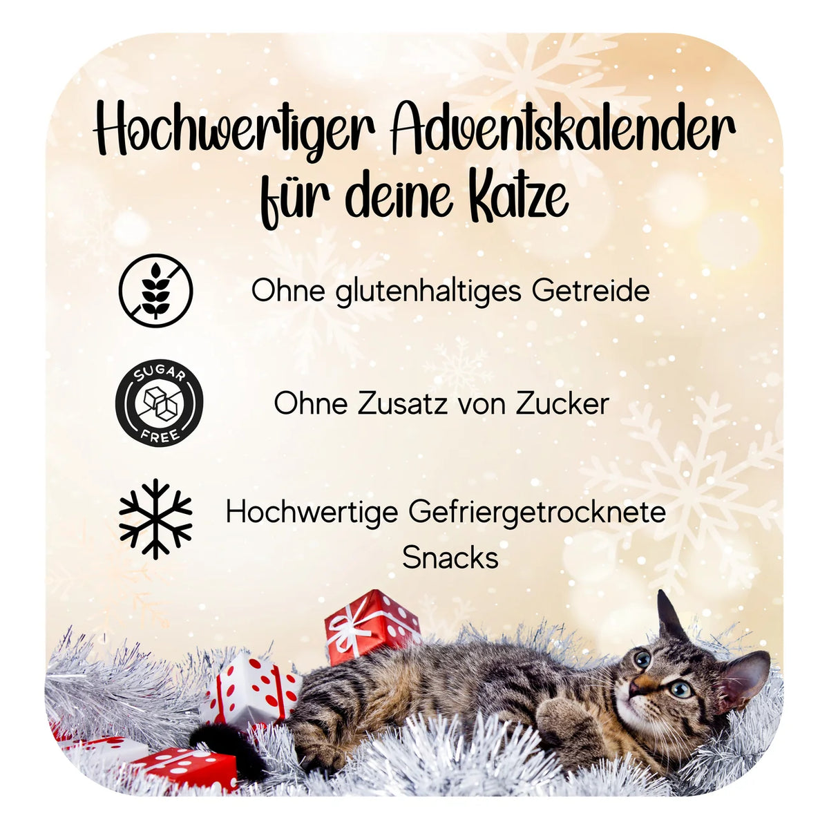 Adventskalender 2026 / B - Ware / optische Mängel
