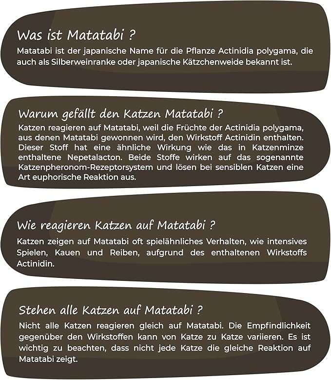 Matatabi-Spielset mit Sticks und Früchten - 15-teilig